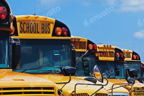 Preview: Rows of School Buses