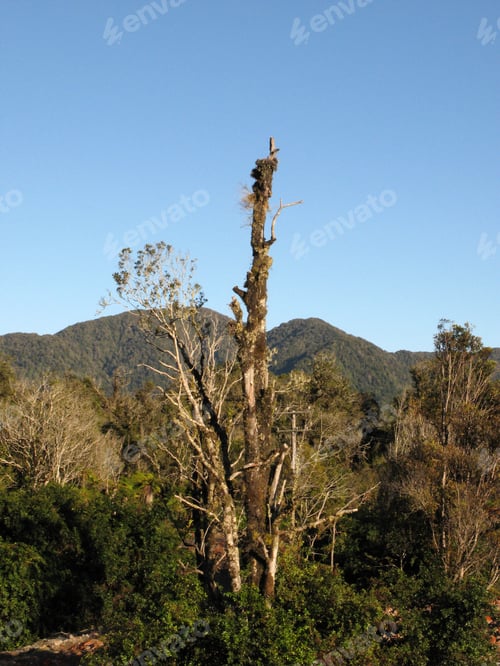 Preview: Te Wahipounamu, UNESCO Conservation Area, New Zealand