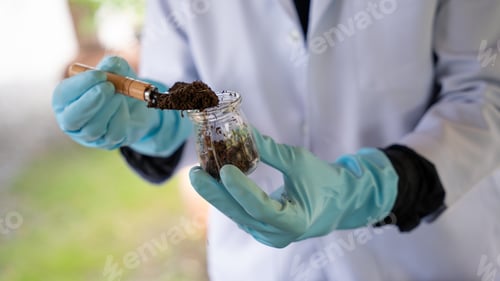 Preview: Close up hand agricultural researchers hold and analyze research soil to produce better results.