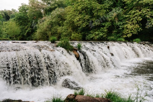 Preview: Waterfall on a green forest