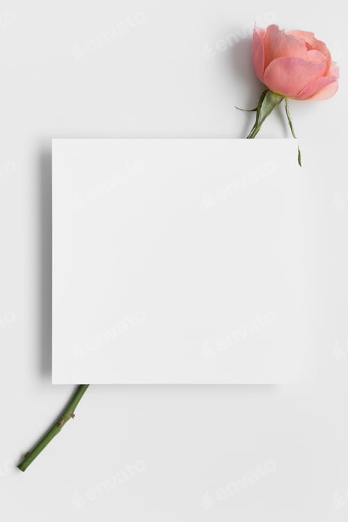 Preview: Invitation square card mockup with a pink rose.