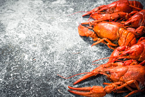 Preview: Fresh cooked crayfish.
