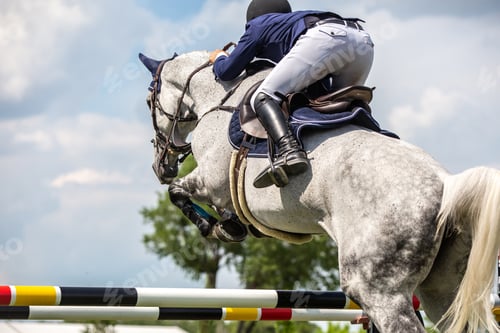 Preview: Horse Jumping, Equestrian Sports, Show Jumping themed photo.