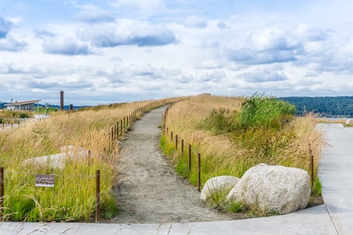Preview: A Dirt Path Leads Up A Small Hill At Dune Peninsula Park In Tacoma, Washington.