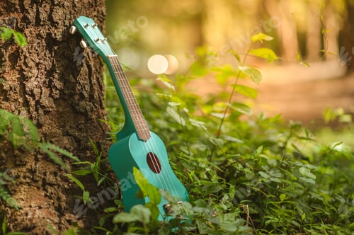 Preview: Ukulele guitar at the mountain nature pine forest landscape. Photo depicts musical instrument Ukulel