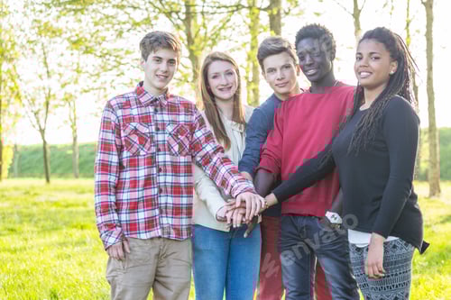 Preview: Multiethnic Group of Teenagers, Teamwork Concept