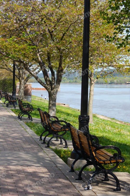 Preview: Park Benches