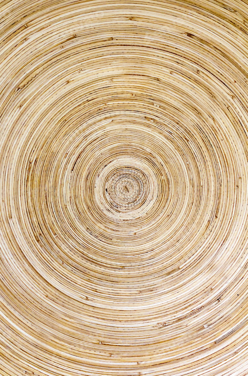 Preview: Concentric patterns of wood