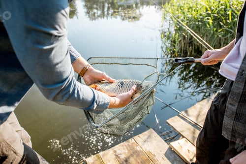 Preview: Fisherman getting fish from the net