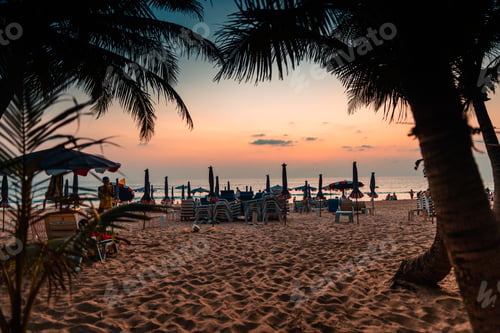 Preview: Evening beach,Coconut trees on island beach and summer vacation