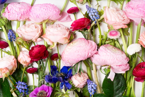 Preview: Ranunculus flat lay composition