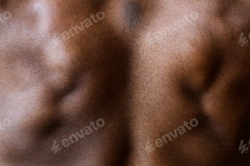 Preview: Rear view of a flexed back muscular