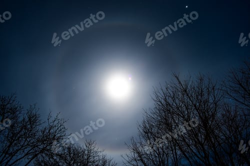 Preview: Moon Halo