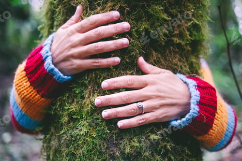 Preview: Human people hands hug embrace with love a green trunk with musk in the wild nature