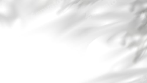 Preview: Leaves shadow overlay, isolated Tropical Branches leaves