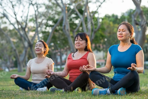 Preview: Meditating aged women