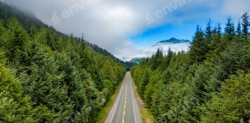 Preview: Highway in Vancouver Island, BC, Canada. Canadian Nature Landscape. Aerial