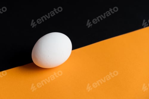 Preview: White Egg on Black and Orange Background