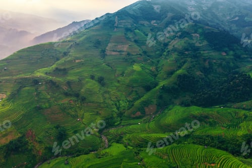 Preview: Paddy rice terraces, green agricultural fields in countryside of mountain hills valley, Vietnam.