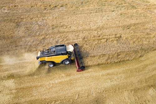Preview: Aerial view of combine harvester harvesting large ripe wheat field. Agriculture from drone view