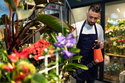 Preview: office service worker with fresh flowers and potted plants