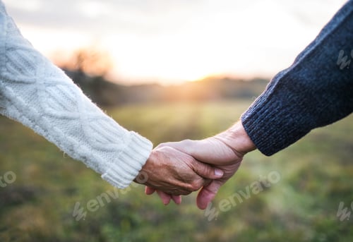 Preview: A close-up of holding hands of senior couple in an autumn nature at sunset.