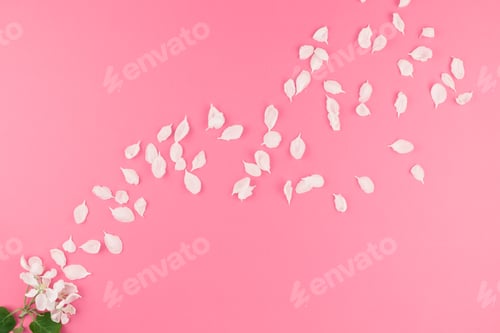 Preview: Flat lay of flying white petals