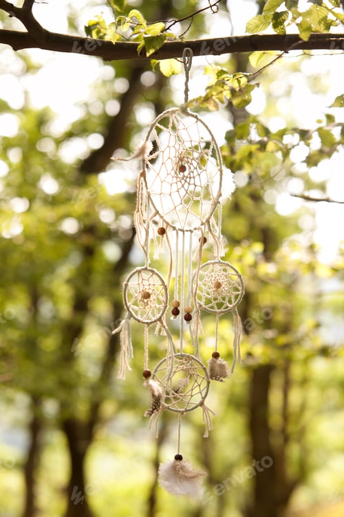 Preview: Dream catcher in tree