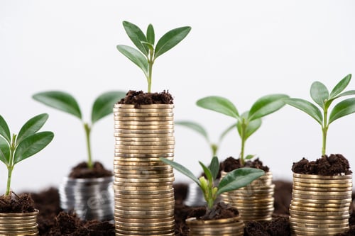 Preview: golden coins with green leaves and soil Isolated On White, financial growth concept