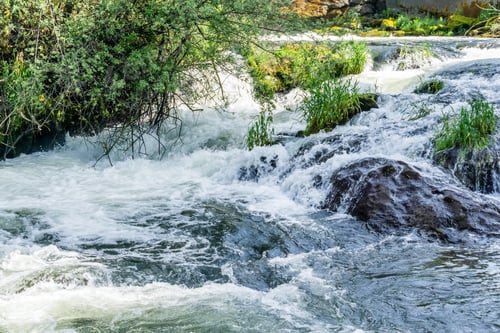 Preview: A View From Downstream At Tumwater Falls In Tumwater, Washington.