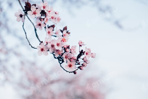 Preview: Springtime.