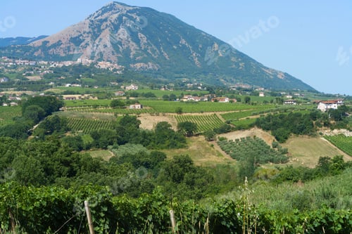 Preview: Summer landscape in Benevento province, Campania, Italy