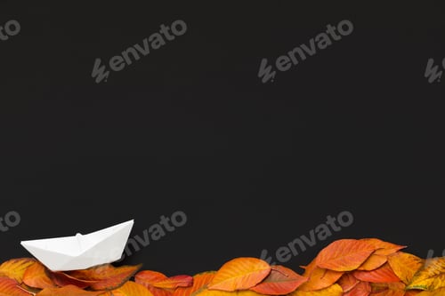 Preview: Sailing paper ship on fallen leaves on black background