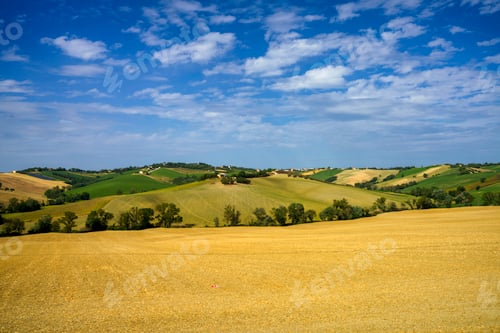Preview: Rural landscape near Ostra Vetere and Cingoli, Marche, Italy