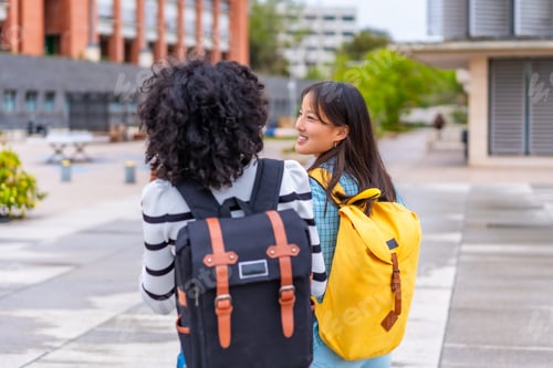 Preview: Multi-ethnic female students walking along an urban campus