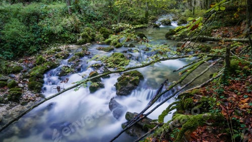 Preview: Long exposure image of stream in forest.