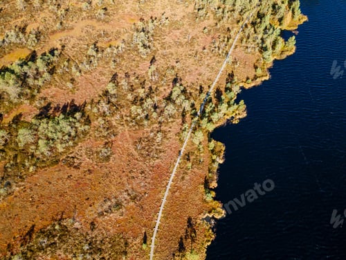 Preview: Wooden hiking trails in swamps