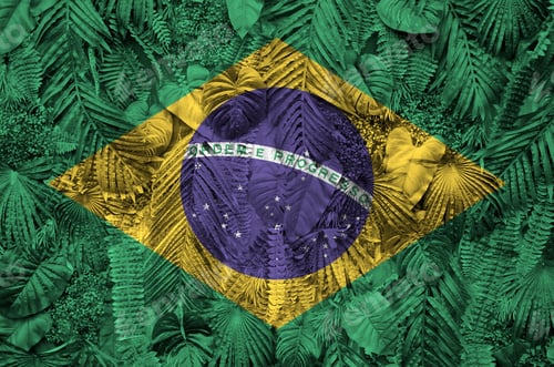 Preview: Brazil flag depicted on many leafs of monstera palm trees. Trendy fashionable background