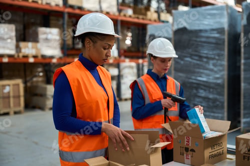 Preview: Women workers packing and scanning products in warehouse