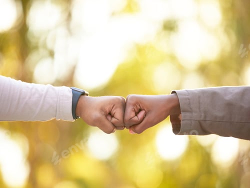 Preview: Fist bump in nature, closeup and friends show support, solidarity or partnership for victory, winni