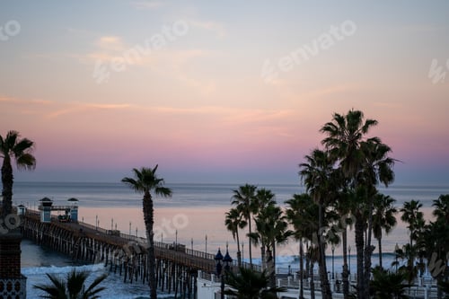 Preview: Pink sunset and palm trees