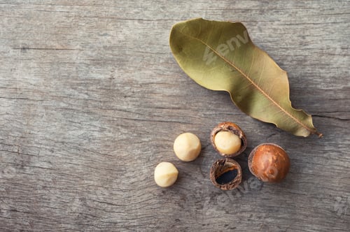 Preview: Peeled Macadamia nuts with leaf on wooden table
