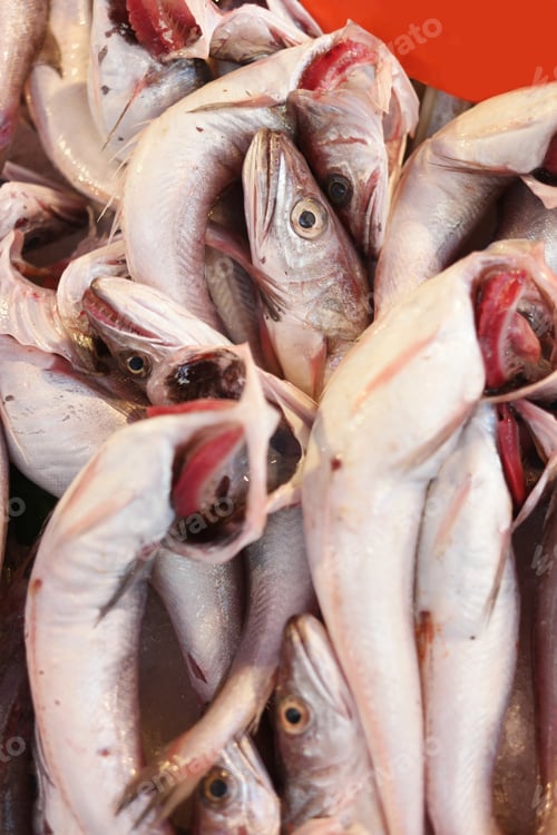 Preview: Pile of raw fish close up.