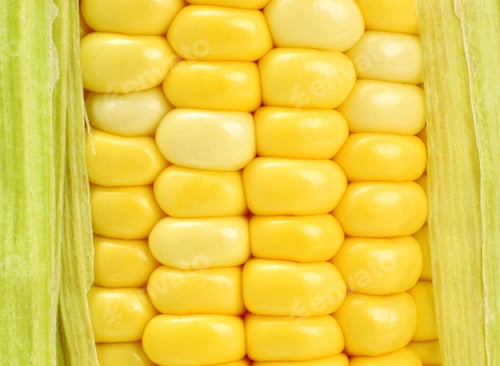 Preview: corn