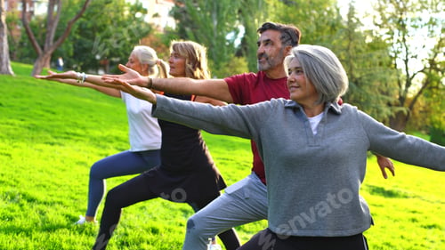 Preview: Seniors group practicing yoga warrior pose outdoors