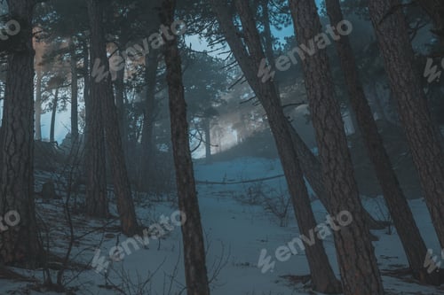 Preview: Frosty morning forest and mountains
