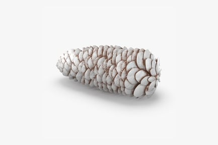 Preview: Snow-Kissed Pinecone Decoration