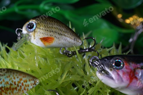 Preview: Closeup of fishing lures in an aquarium under the lights