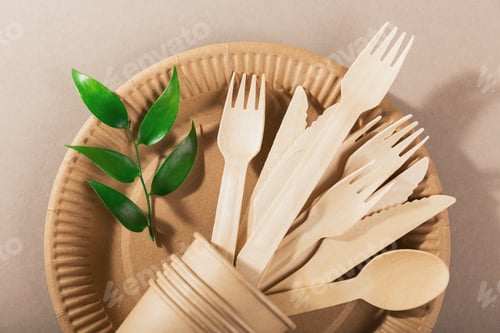 Preview: Eco-friendly disposable utensils made of bamboo wood and paper