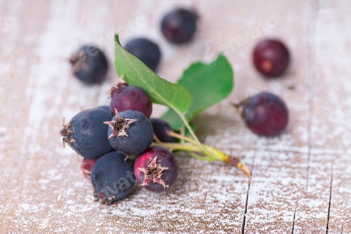 Preview: Wild berries
